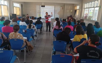 ASGESE REALIZA ASISTENCIA TÉCNICA A DIRECTIVOS NOVELES SOBRE GESTIÓN ESCOLAR