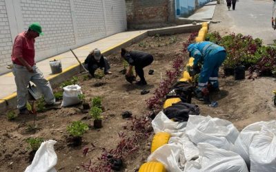 UGEL04 Y MUNICIPIO DE CARABAYLLO PARTICIPAN EN CAMPAÑA “MI ESCUELA LIMPIA Y SEGURA”