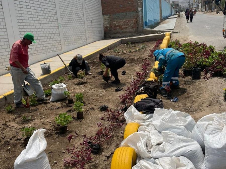 UGEL04 Y MUNICIPIO DE CARABAYLLO PARTICIPAN EN CAMPAÑA “MI ESCUELA LIMPIA Y SEGURA”