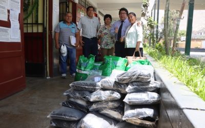DIRECTORA DE UGEL 04 MONITOREA ENTREGA DE INSUMOS DE LIMPIEZA Y CONSTRUCCIÓN DE CERCO PERIMÉTRICO EN IE EE.UU. DE COMAS