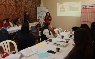 ESPECIALISTAS DE INICIAL DE LAS UGEL DE LIMA METROPOLITANA FORTALECEN CAPACIDADES EN MESAS DE TRABAJO DESCENTRALIZADAS