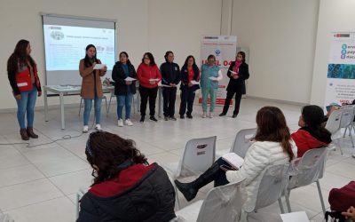 UGEL 04 fortalece inclusión educativa con ciclo de capacitaciones a equipos SAE