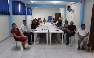 UGEL 04 Y MUNICIPALIDAD DE PUENTE PIEDRA PRESENTAN AVANCES TÉCNICOS DEL PROYECTO EDUCATIVO LOCAL (PEL)
